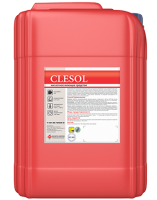     "CLESOL" -  . 