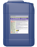  ,        CLESOL 2000 -  . 