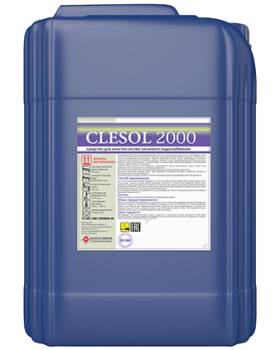  ,        CLESOL 2000 -  . 
